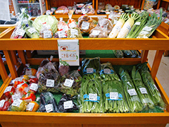 いつでも安心の採れたて野菜を！